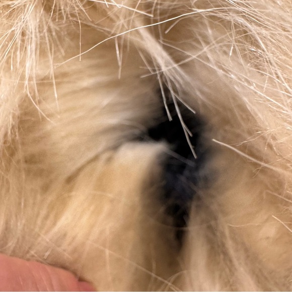 Sorel Tofino Womens Size 7 Waterproof Faux Fur Winter Snow Boot NL 2332-241 - Picture 8 of 15